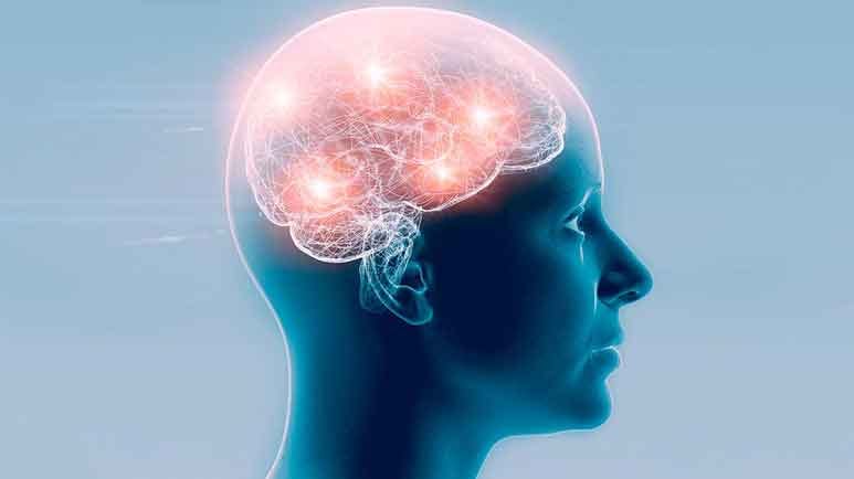 Memory Embry Practice Makes Perfect - The Science of Memory Formation