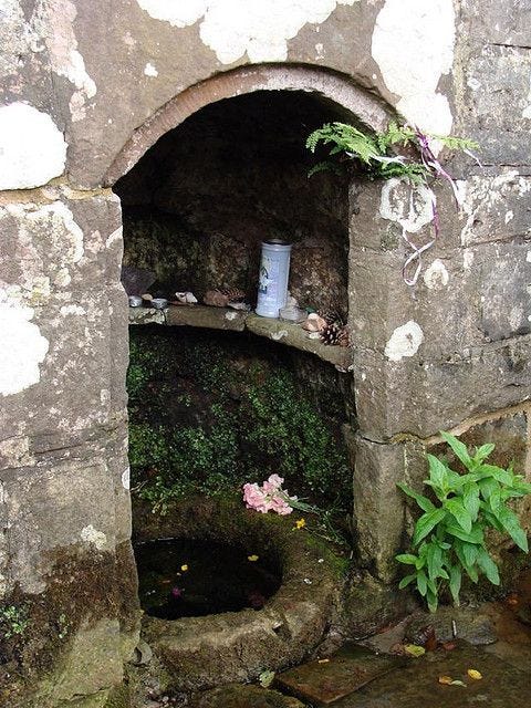 This may contain: an old stone tunnel with flowers growing out of it