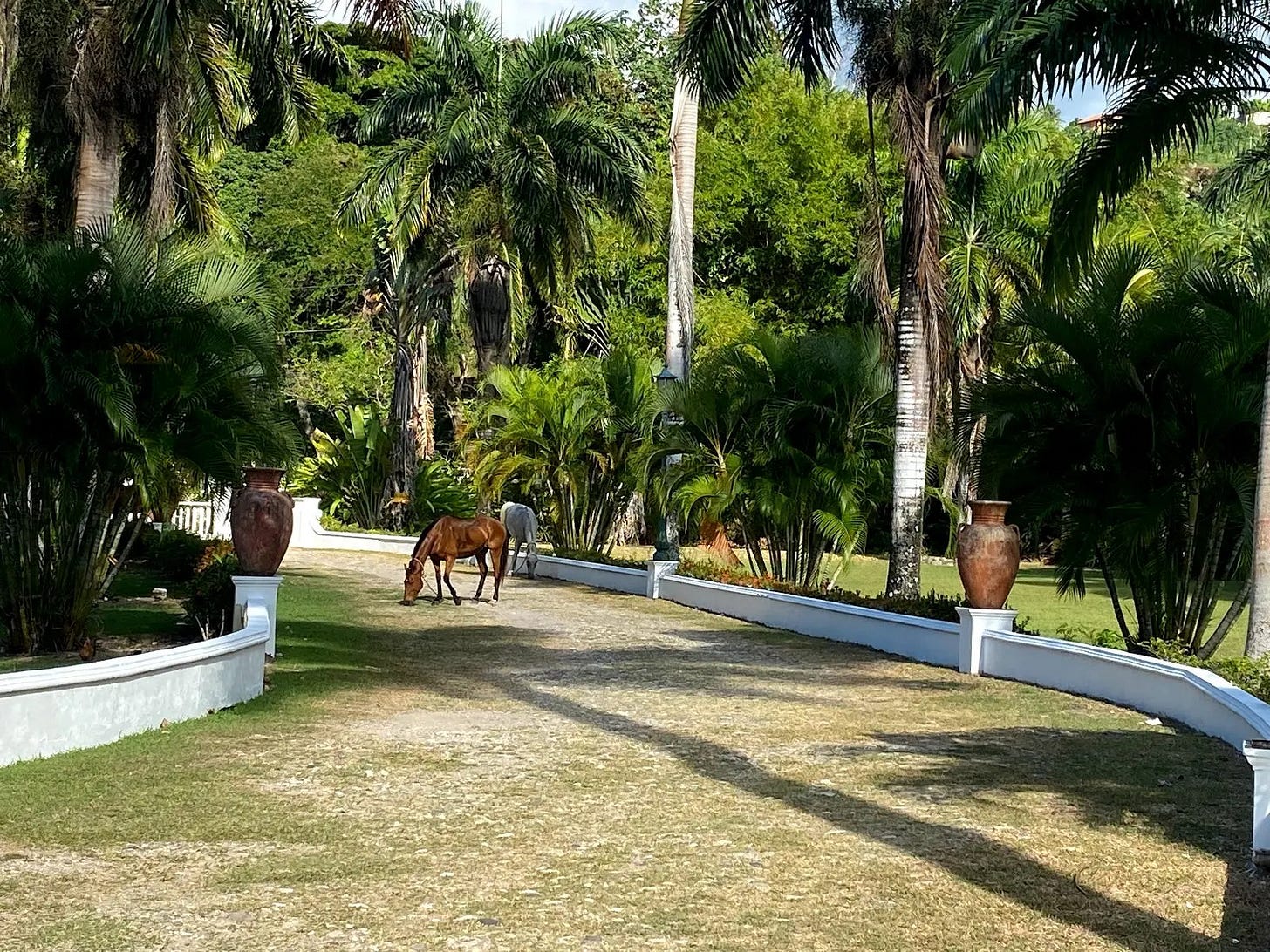 Rio Nuevo Battle Site