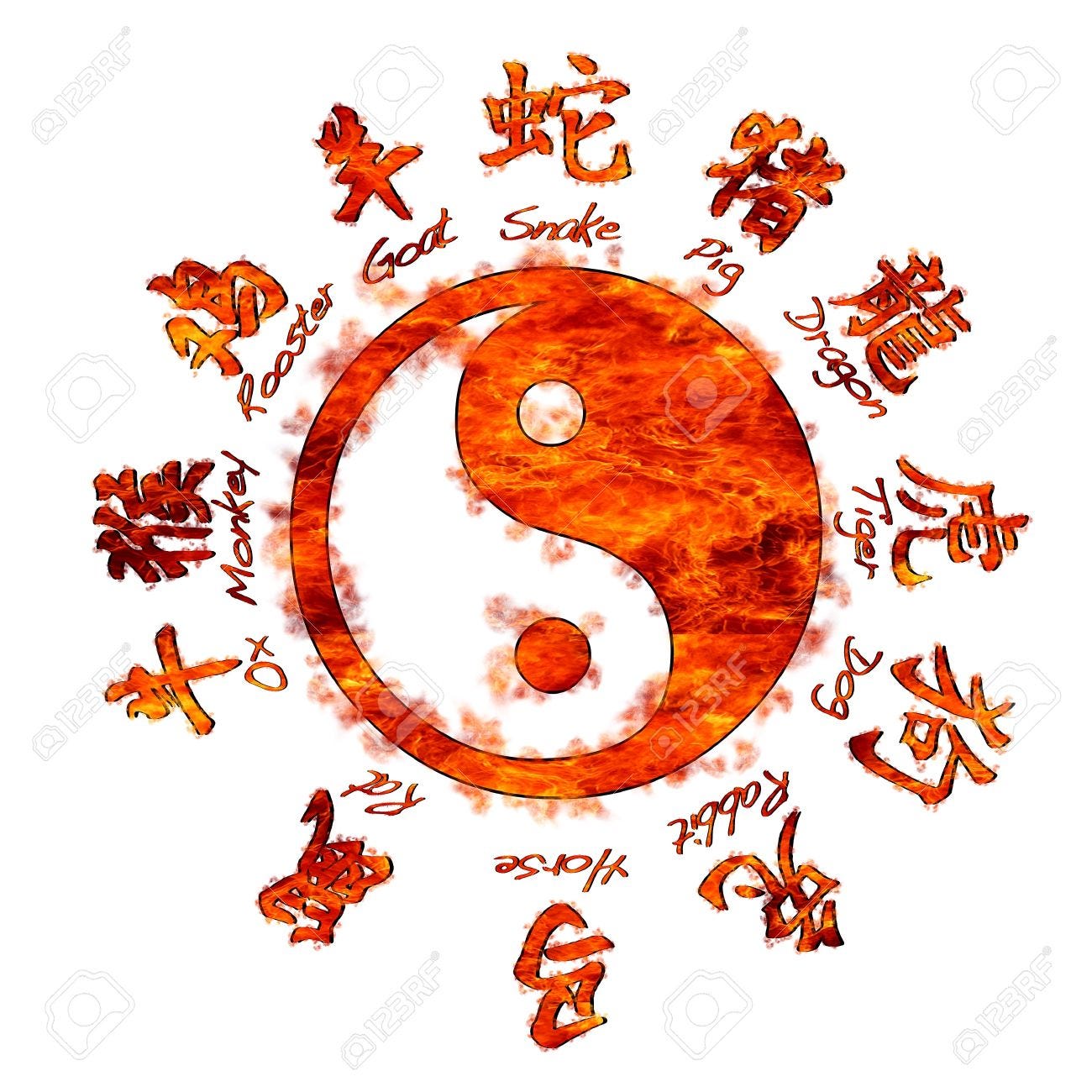Illustration With Chinese Zodiac Signs And Yin Yang Stock Photo, Picture  and Royalty Free Image. Image 17973069.