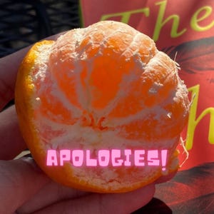 Substack profile picture for @apologies