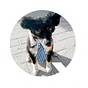 GoodDog's avatar