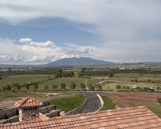 View from Van Ardi's belltower over terracotta tiles, a reflecting pond lined with cypress trees, and vineyard rows, with Mounts Ara and Aragats rising in the distance under a cloudy Armenian sky