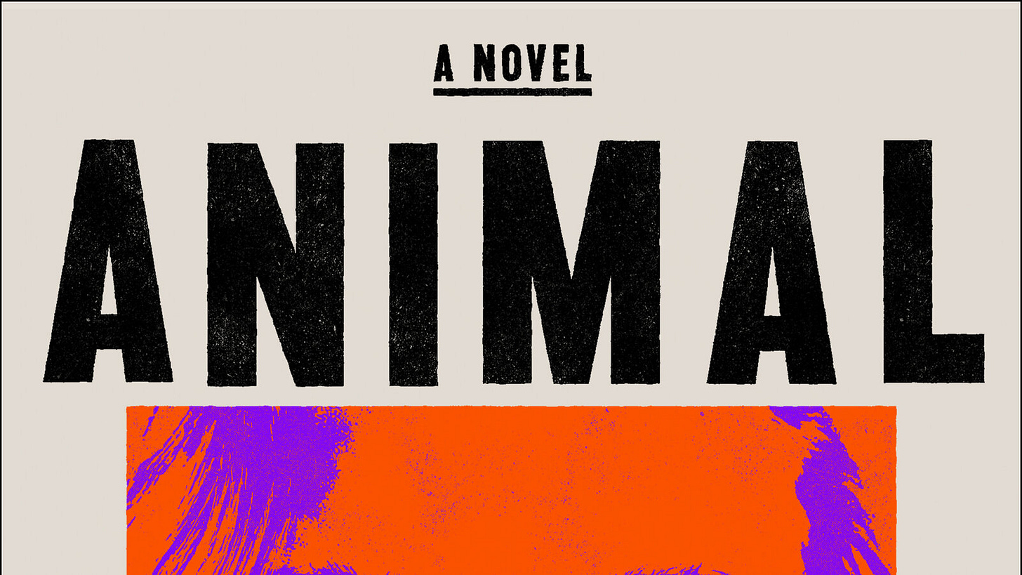 Animal,' by Lisa Taddeo: An Excerpt - The New York Times