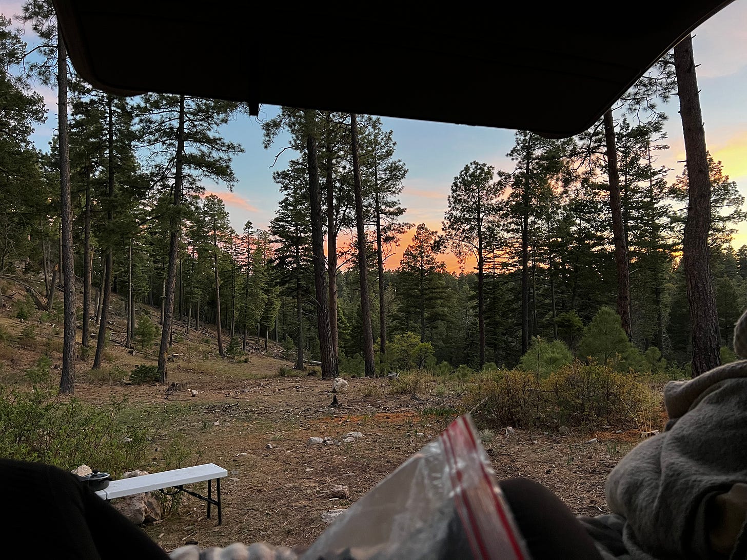Thew view out the back hatch of Lyric and David’s RV, showing the sunset and the first site of the trip that has a grassy hill with many tall pine trees. Thew view out the back hatch of Lyric and David’s RV, showing the sunset and the first site of the trip that has a grassy hill with many tall pine trees.