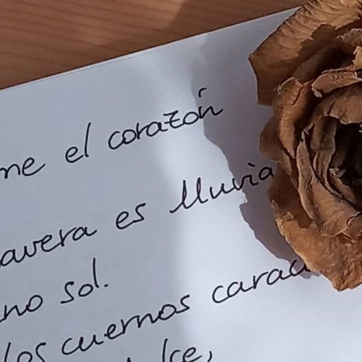 Escribiendo en el desván 