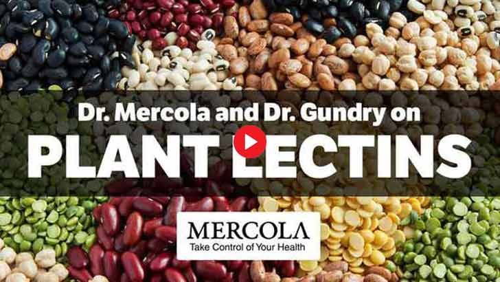 limit lectins