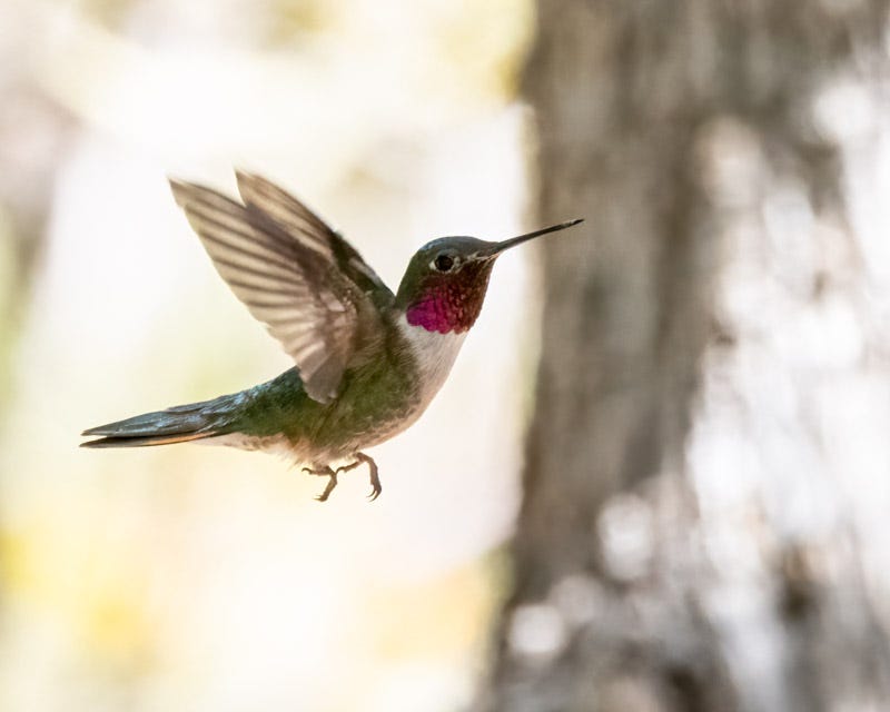 20250521-MillerCanyon-266-Edit 2.jpg 20250521-MillerCanyon-266-Edit 2.jpg