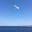 Seagull's avatar