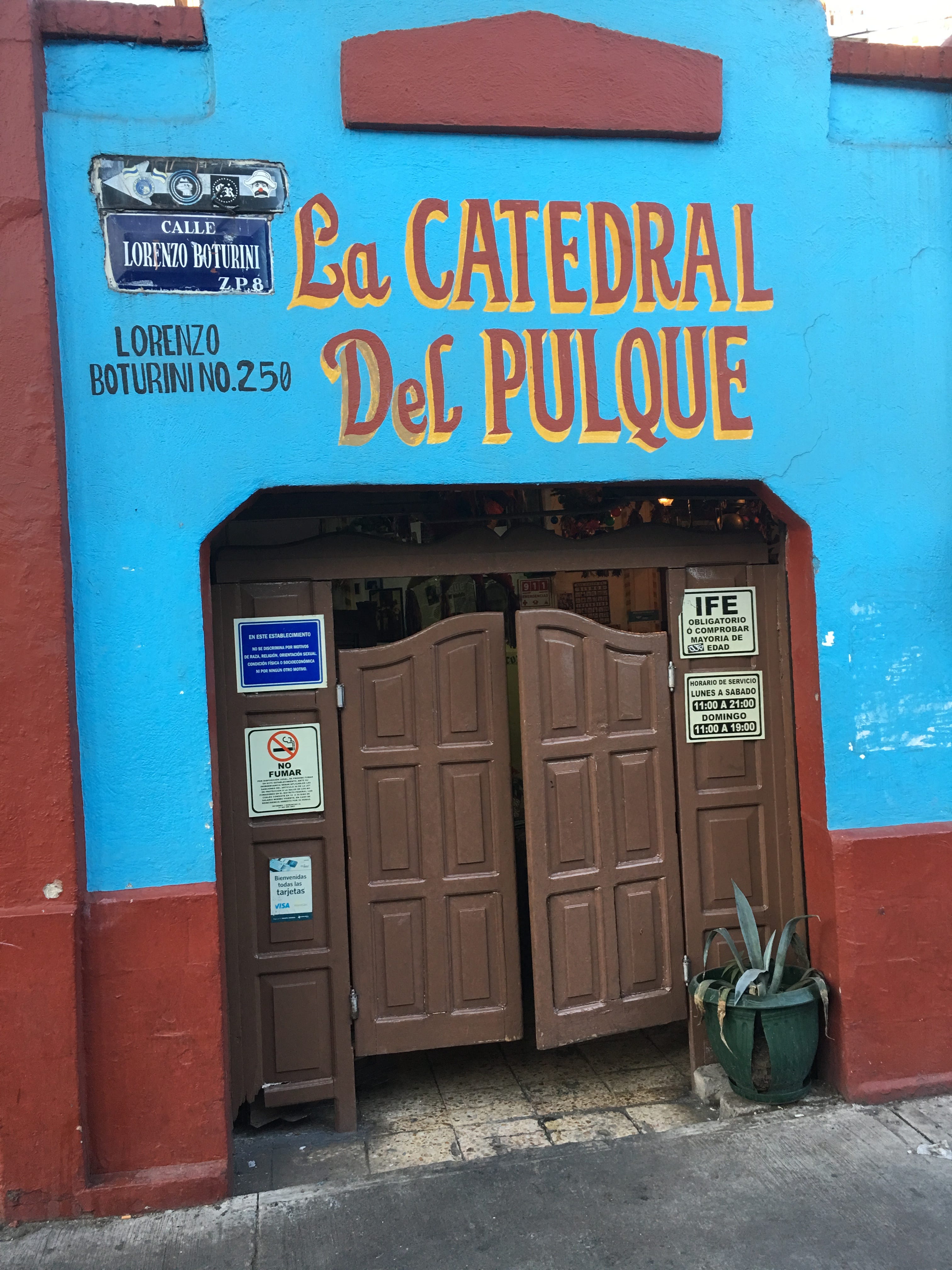 La emoción de disfrutar aguamiel del maguey, image size:3024x4032