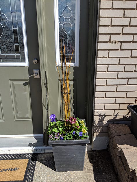 Colourful front planters for spring