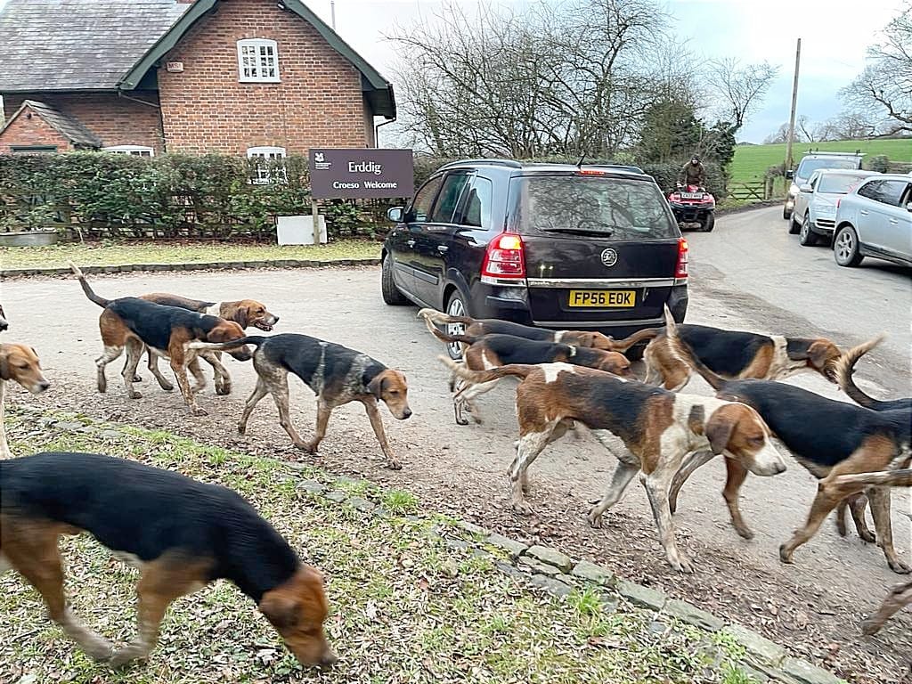 Wynnstay Hunt trespasses on National Trust land