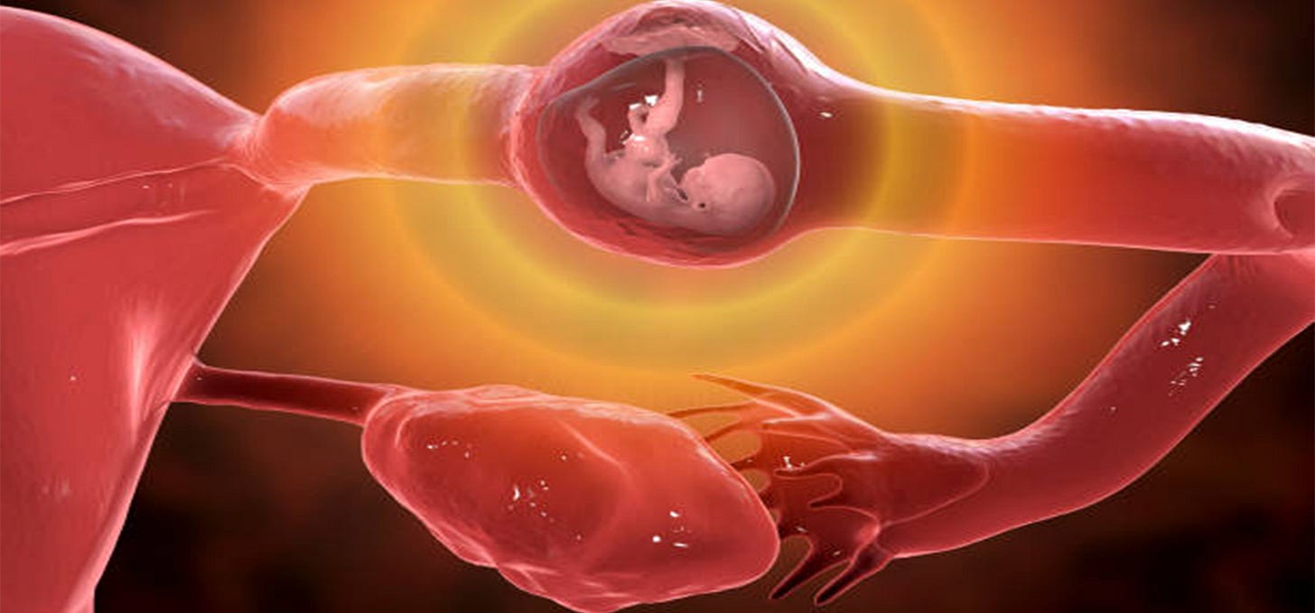 Ectopic Pregnancy: Symptoms, Managing Risks and Treatment