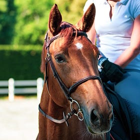 The Movement of the Horse