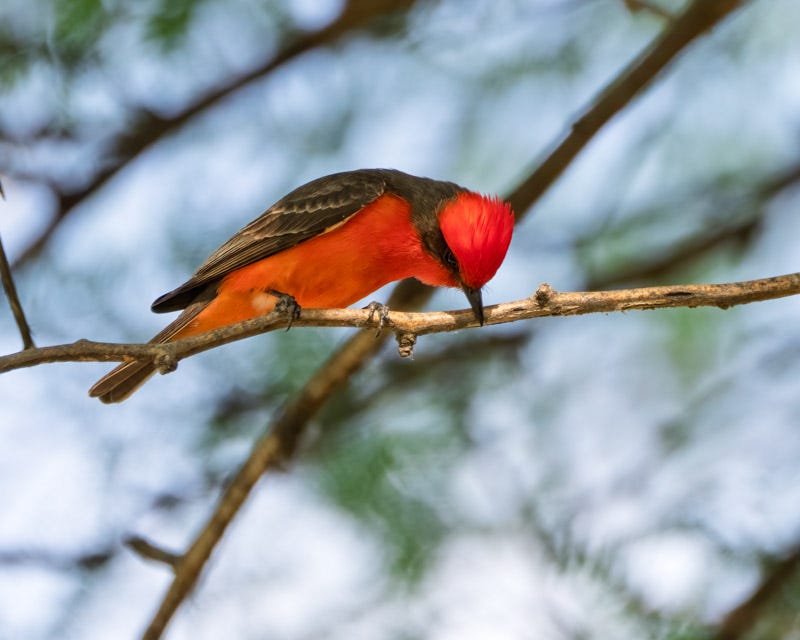 20260330-Sweetwater-93-Edit.jpg 20260330-Sweetwater-93-Edit.jpg