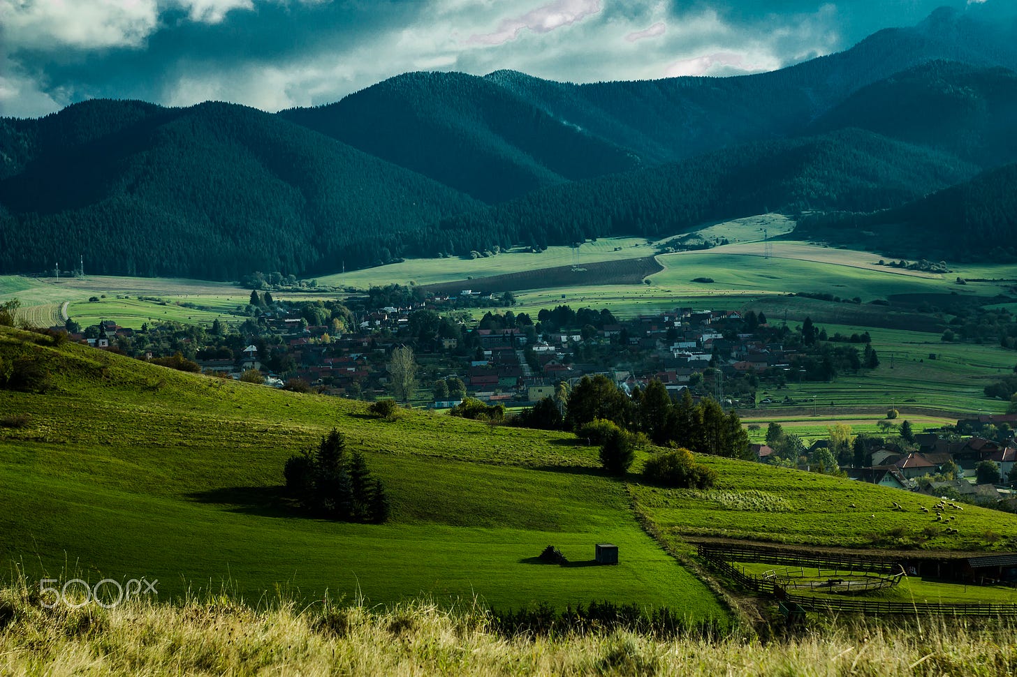 File:Nature (177139207).jpeg - Wikimedia Commons
