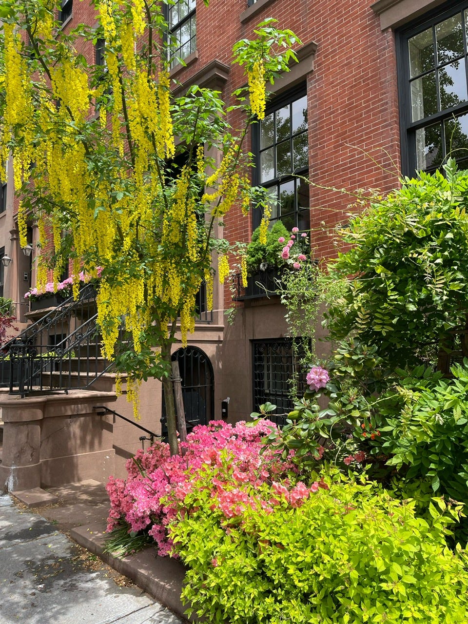 Brownstone Brooklyn Heights