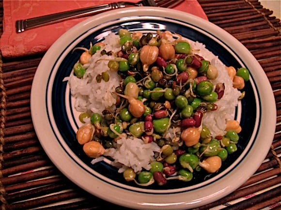 A delicious plate of sprouts and rice. Named for Gil. A delicious plate of sprouts and rice. Named for Gil.