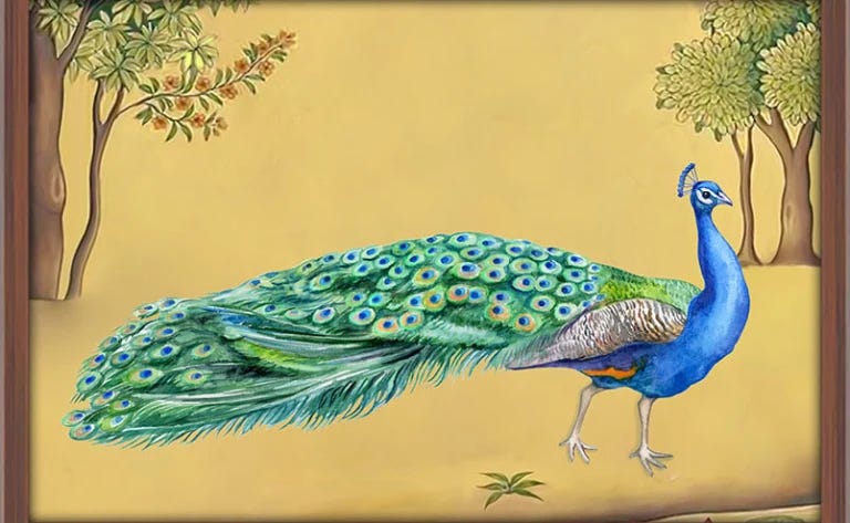peacock, dance, ego, confident, strut, yoga, poem, poetry, inspiration peacock, dance, ego, confident, strut, yoga, poem, poetry, inspiration