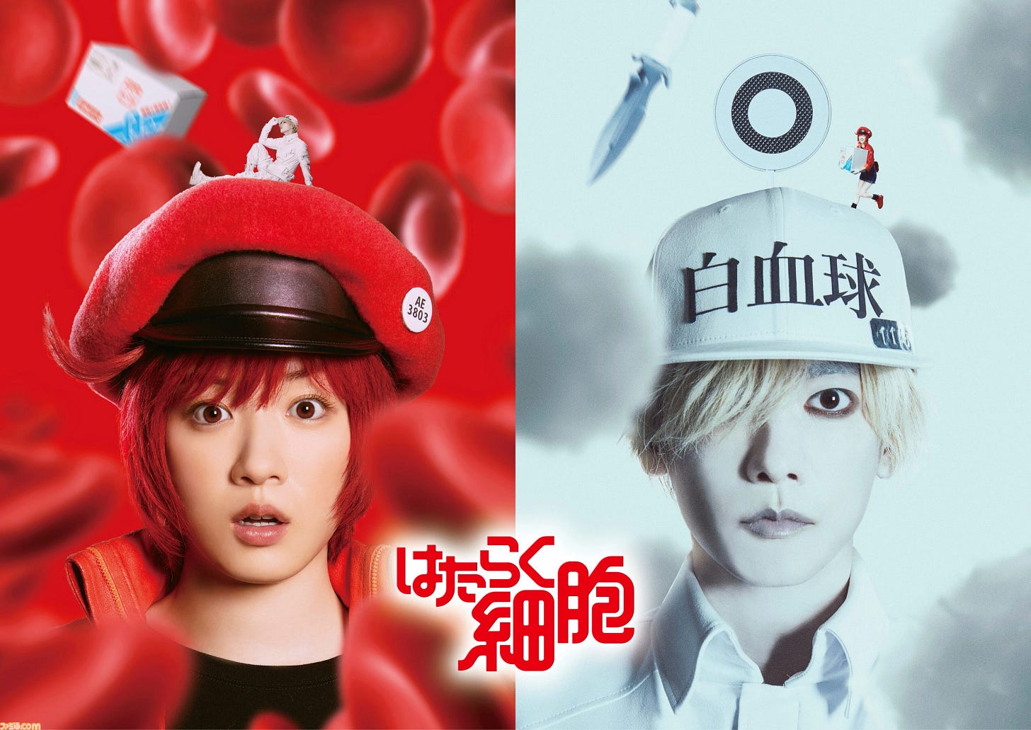 Cells at Work! (Live-action Movie)