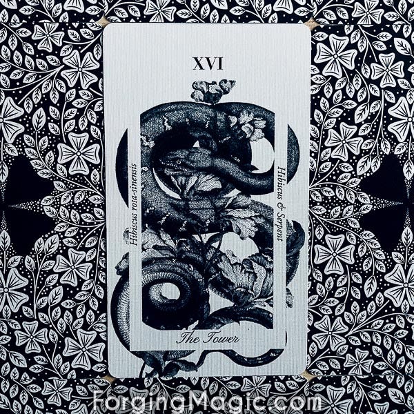 La Flora Tarot The Tower Card