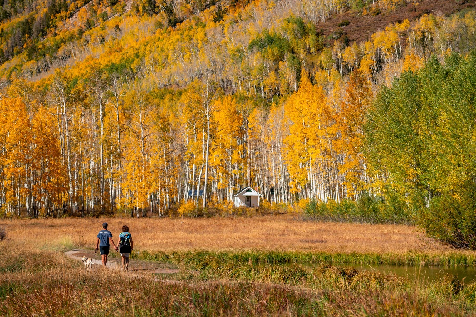 Beware the Libertarians Hiding in Public Lands Op-Eds