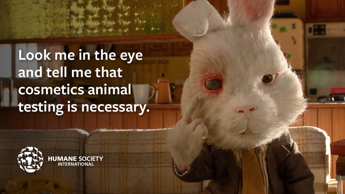 Save Ralph: Short film aims to ban animal testing in South Africa!