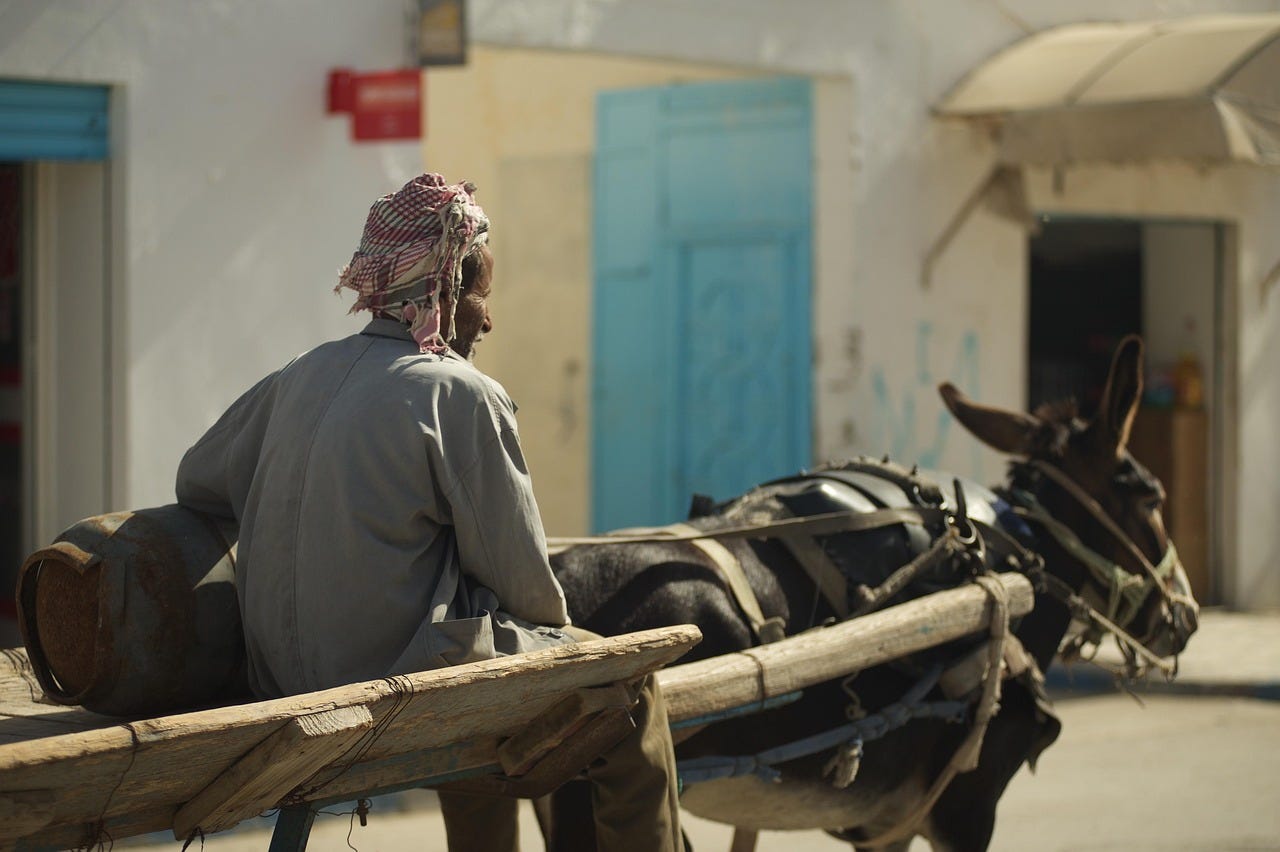 Free Tunisia Man photo and picture