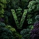 Verticalized
