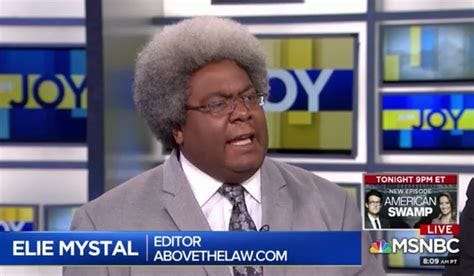 Above the Law Executive Editor Elie Mystal appears on MSNBC's "AM Joy" on Aug. 11, 2019. (MSNBC)