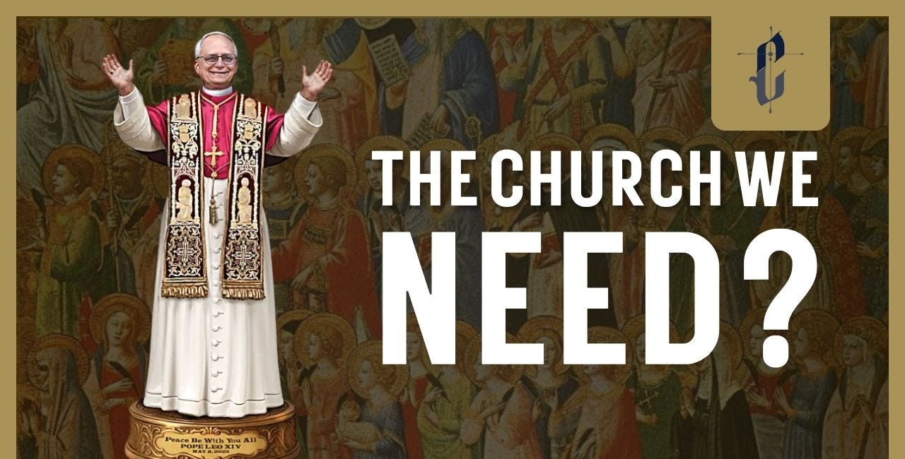 Is This Really What We Need at This Time?