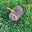 CaptE's avatar