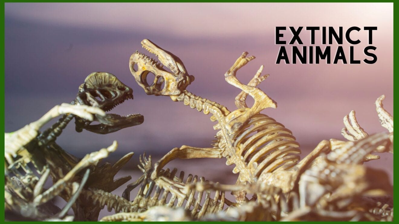 Extinct Animals