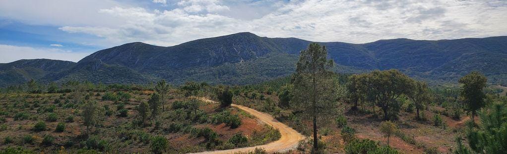 https://www.alltrails.com/trail/portugal/setubal--3/azeitao-picheleiros-alto-das-necessidades