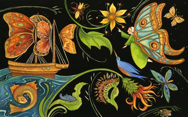 illustration of butterflies by Maria Merian, 17th century illustrator. illustration of butterflies by Maria Merian, 17th century illustrator.