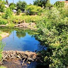 Green Wednesday: Beavers Build Biodiversity and Citrus' Cold Realities