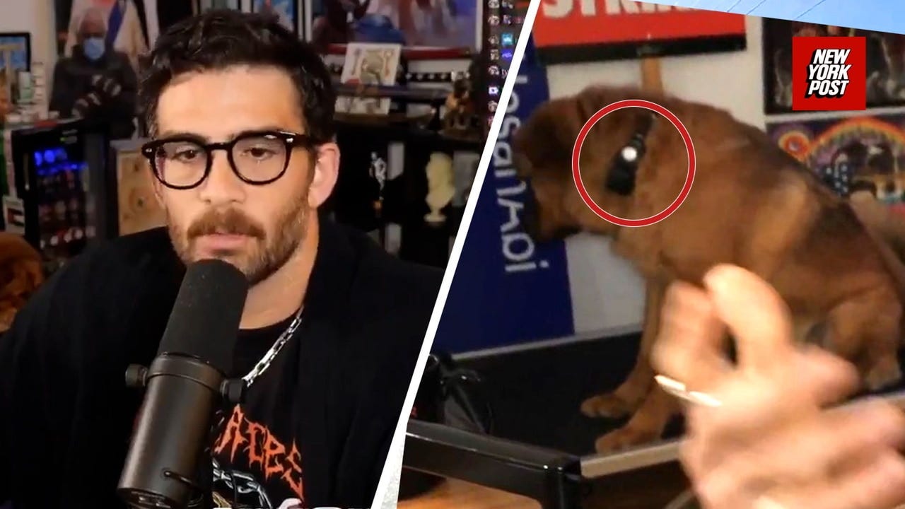 Streamer Hasan Piker Accused of Using a Shock Collar on his Dog to Keep her  in the Shot for Views