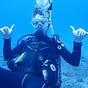 Chris Wills's avatar