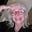 Tess  Traylor's avatar