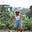 Avatar de iara