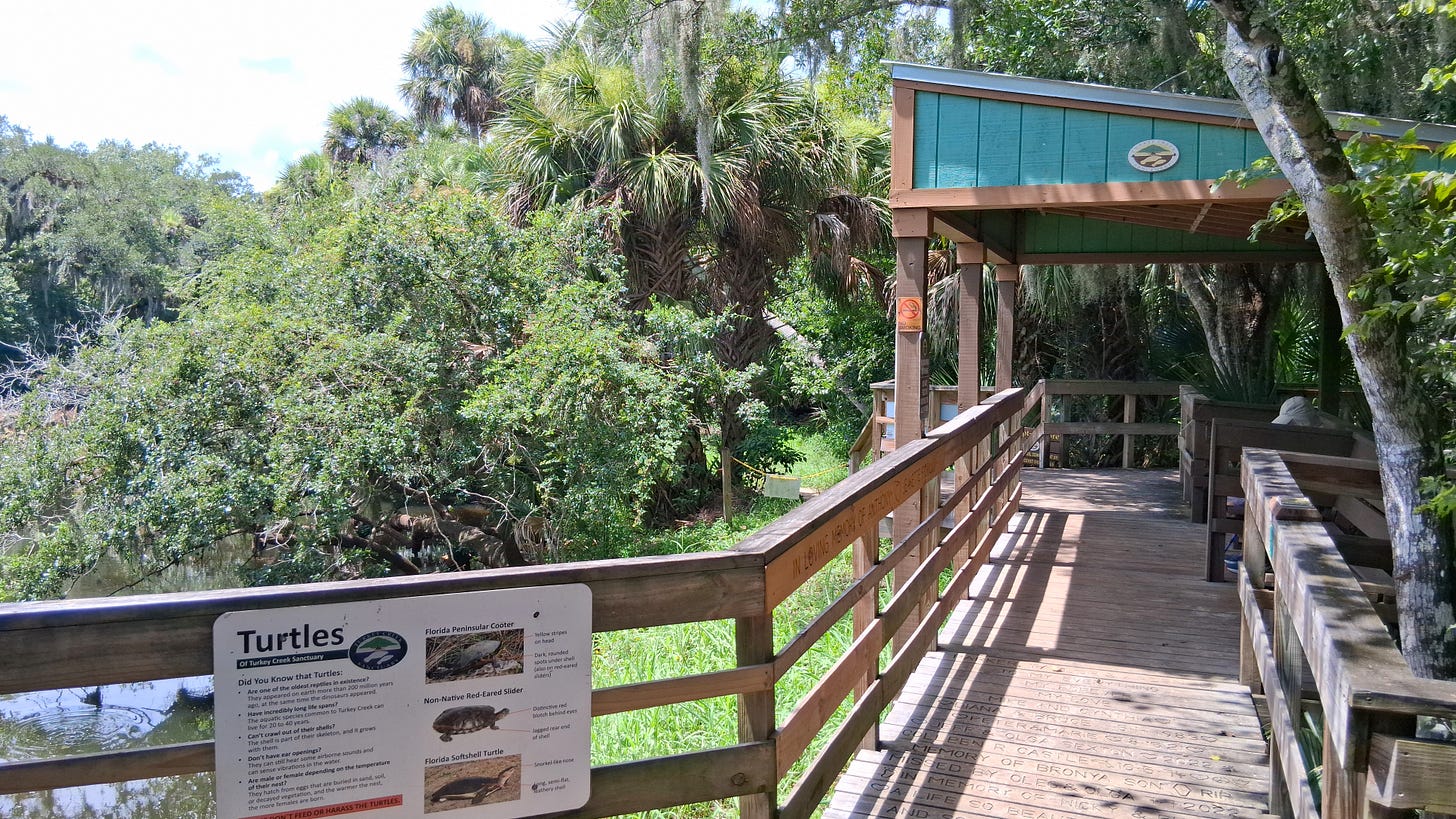Turkey Creek boardwalk, Palm Bay, Florida