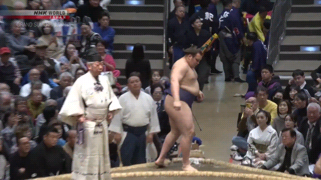 Sumo Stomp! | Tim Bissell | Substack