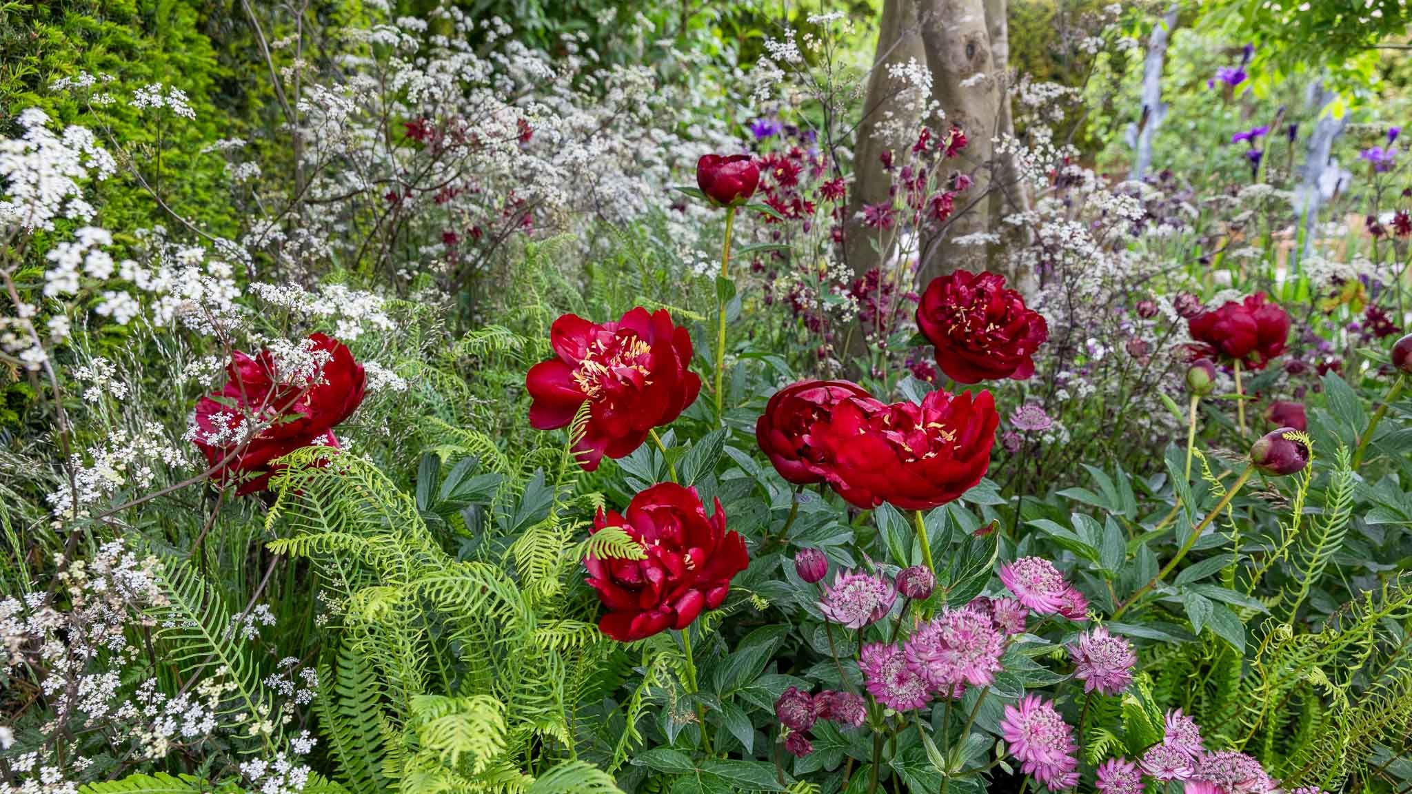 RHS Chelsea Flower Show 2026: My Very Honest REVIEW