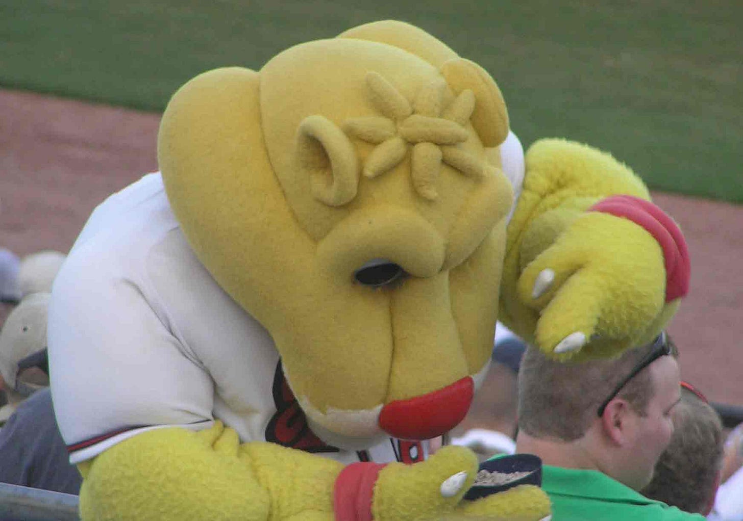nashvillemascot