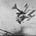 This day in WWI's avatar