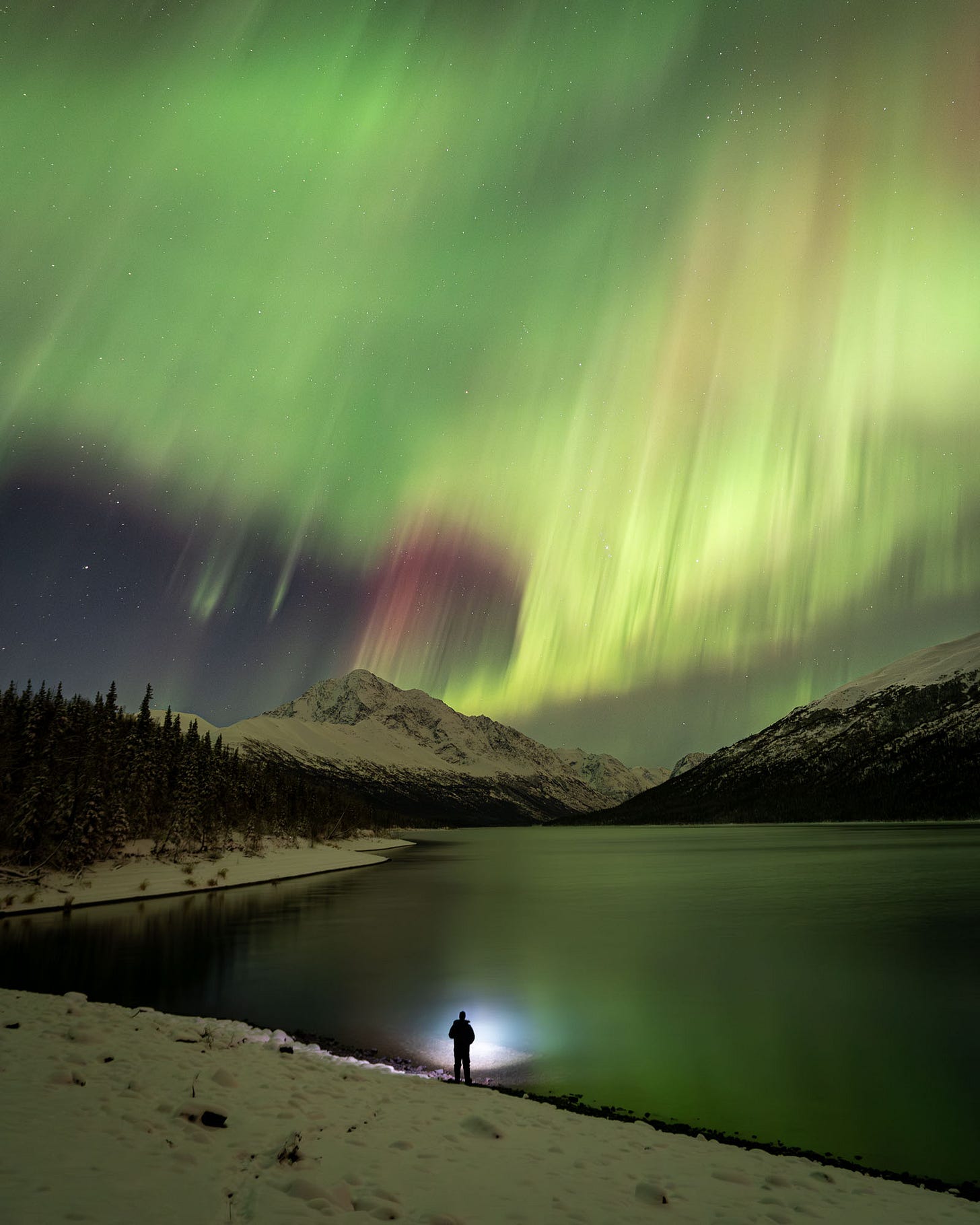 Hiker admiring the auroras over the Chugach Mountains.