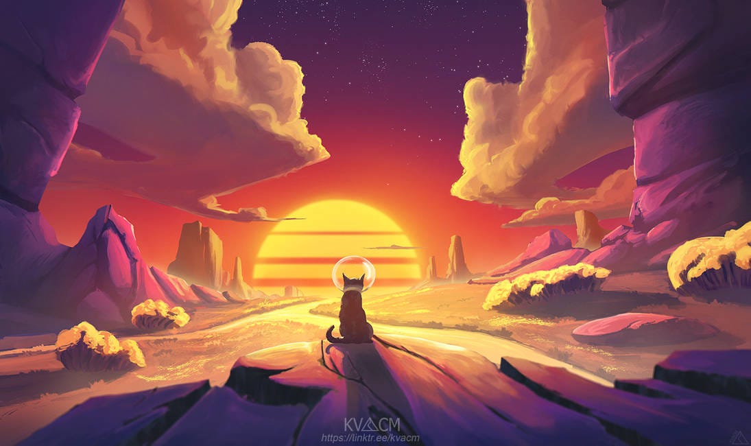 Dr. Jack Kruse: How to optimize health in the EMF Age