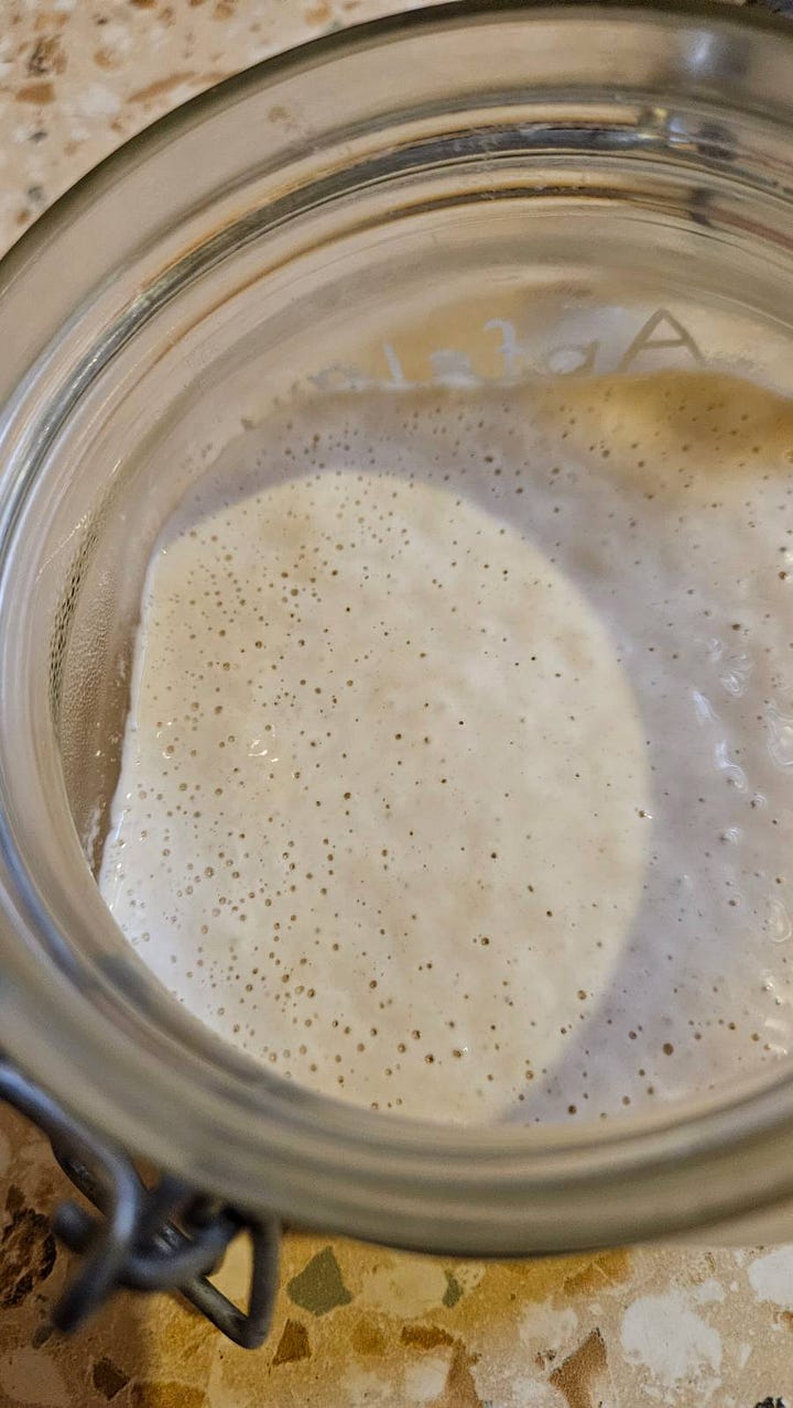 Sourdough Yeast in a jar