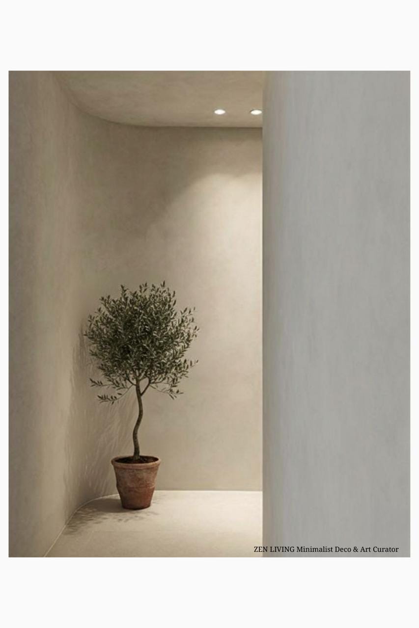 A minimalist interior transition space with a curved plastered wall, an olive tree in a terracotta pot, and soft recessed ceiling lighting, embodying a modern Mediterranean aesthetic.