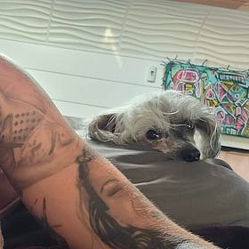 My Dog Died Today